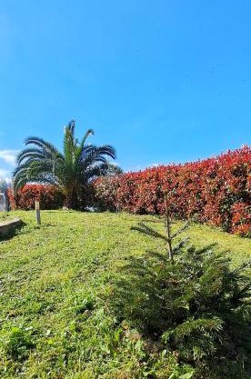 La Bella Addormentata