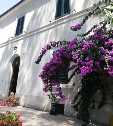 La Bouganville