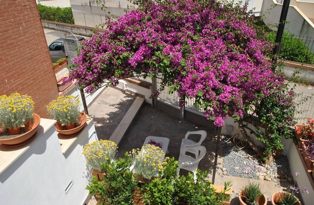 La Bouganville Studio 200 m From the sea