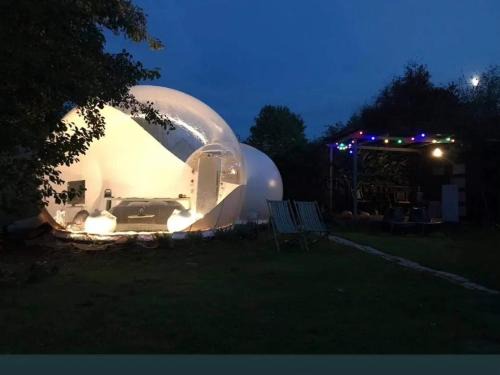 La bulle