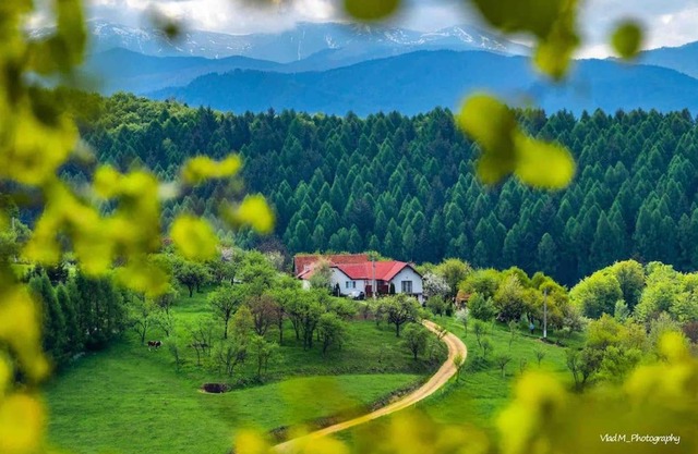 La Căsuță