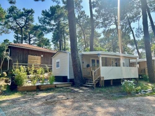 La cabane des pins