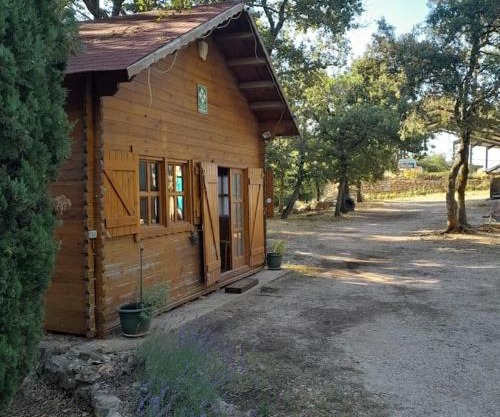 La cabane en bois