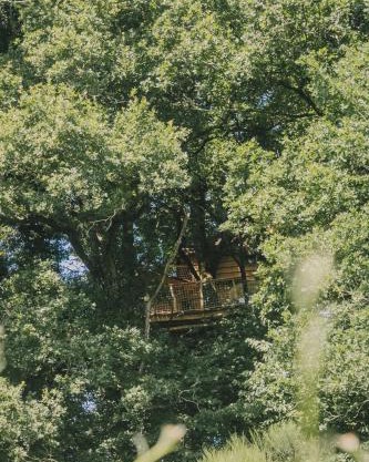 La Cabanoun, cabane perchée vue lac