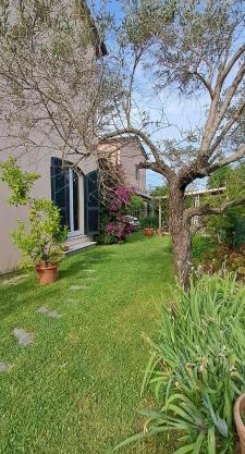 La Camelia