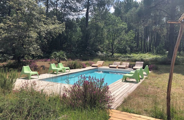 La Canopée - home in the heart of the forest