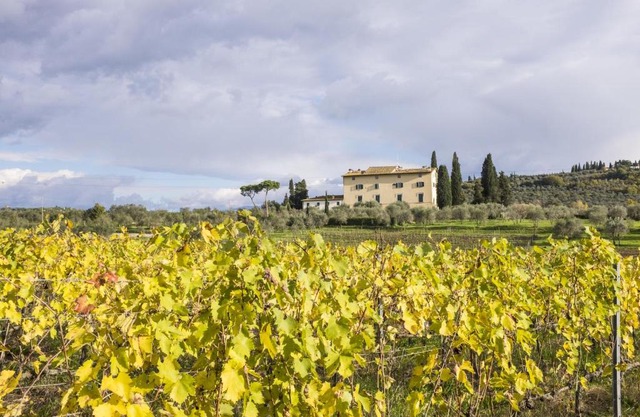La Capannaccia