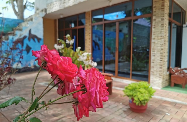La Casa De Mi Sub