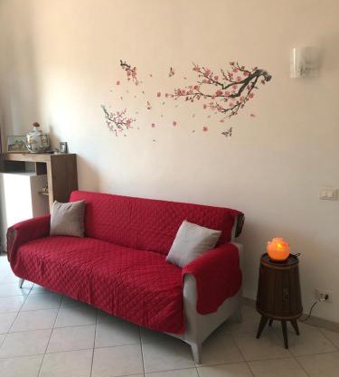 La casa degli ulivi