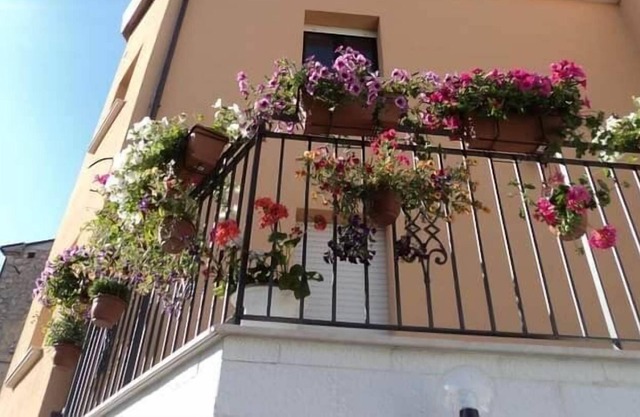 la casa dei fiori
