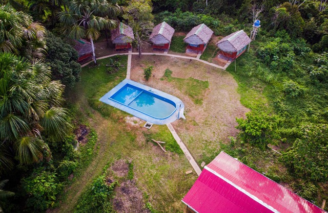 La Casa del Ayahuasca - Luz del Amazonas