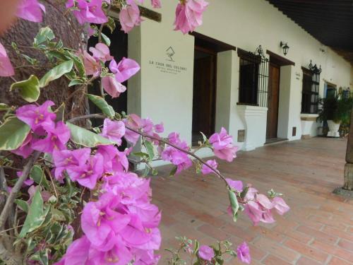 La casa del Colibri