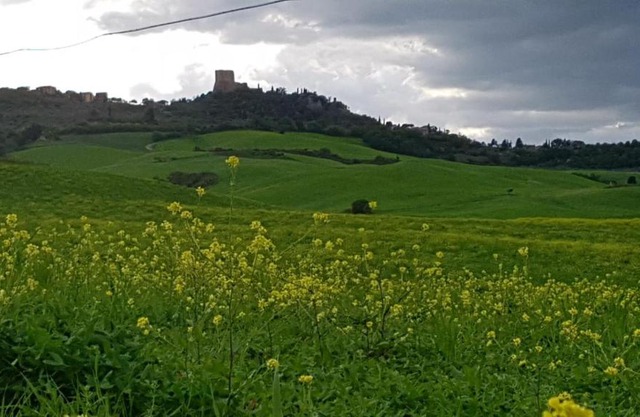 La Casa del susino