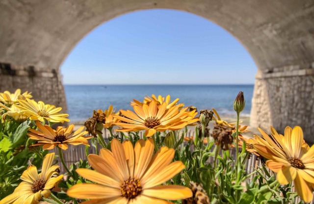 La casa in riva al mare
