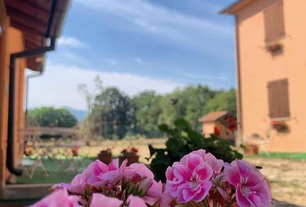 La Cascina della Vachina