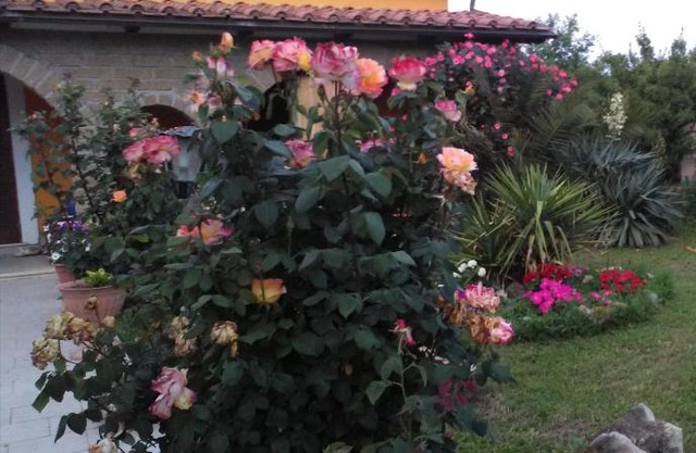 La casetta di samba