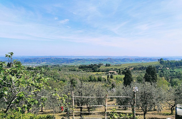 La Casina di Colle - Appartamento Rustico Sulle Colline di Pisa