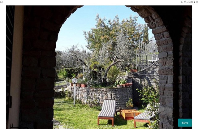 La collina degli olivi
