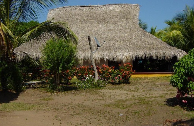 La Coralina azul