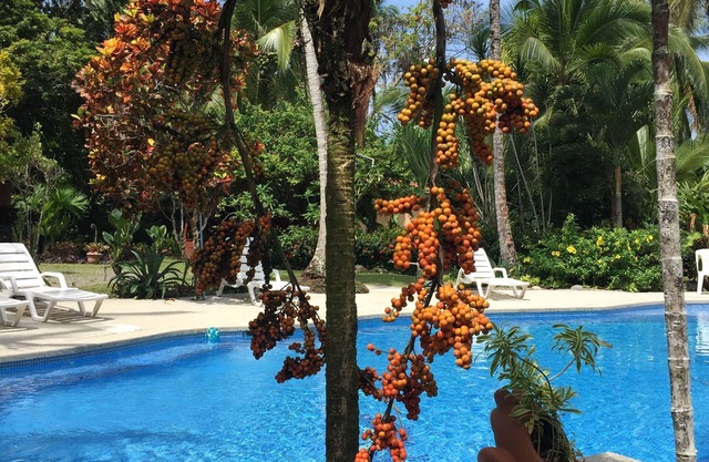 Hotel La Diosa