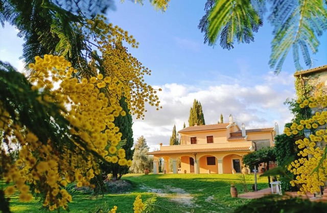 La Doganella