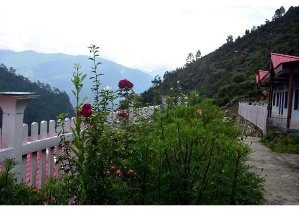 LA Fiyoli Resort, Kedarnath Road, Phata