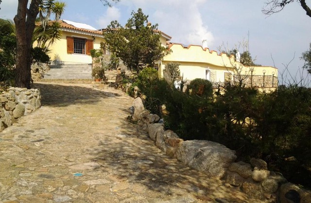 La Fonte dell'ulivo 3
