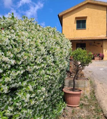 La Ghiandaia