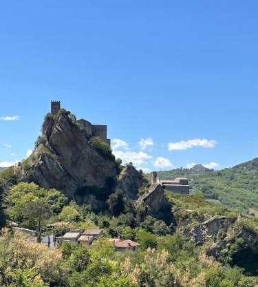 La Ginestra