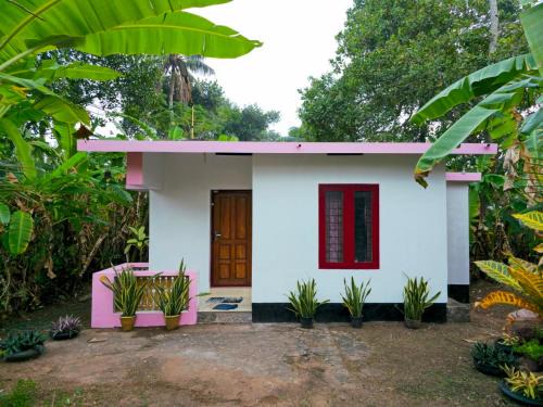 La ixora