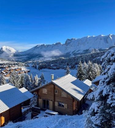 La joue du loup Bord des pistes - Chalet en bois de charme pour 10 personnes