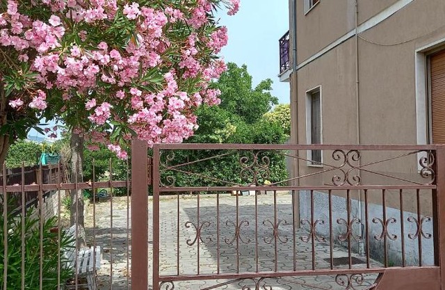 La magnolia