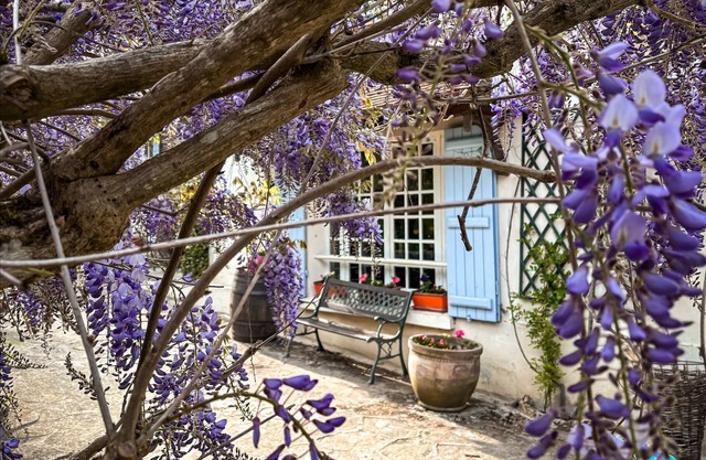 La Maison Dans la Brie