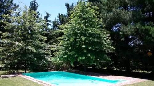 LA MAJA
