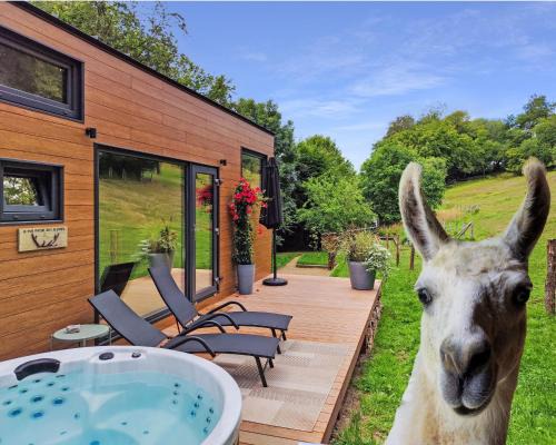 La mini maison du Lama