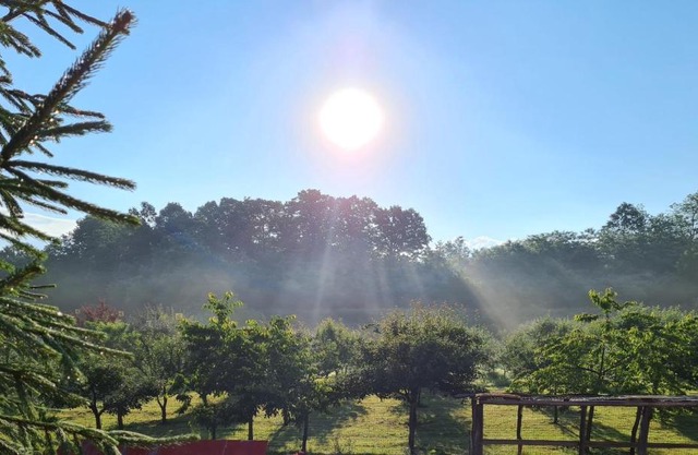 La Pădure