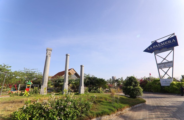 LA PALMERA