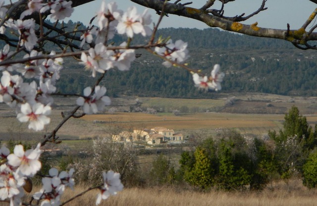 Haven of Peace - Alojamiento y desayuno 1