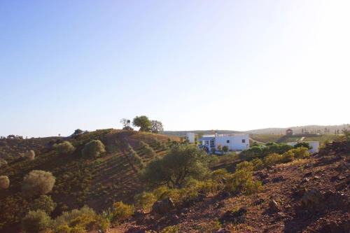 La petite maison sur la colline - Benslimane