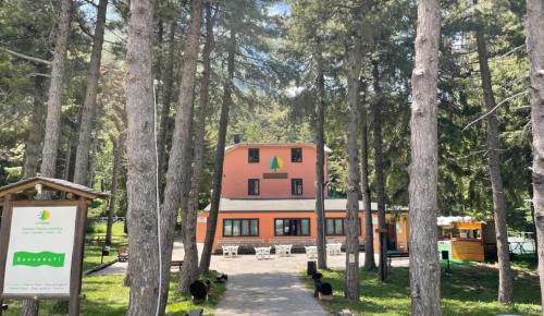 La Pinetina