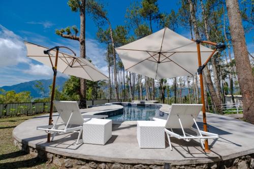 La Pino Mount Batur and Hot Spring