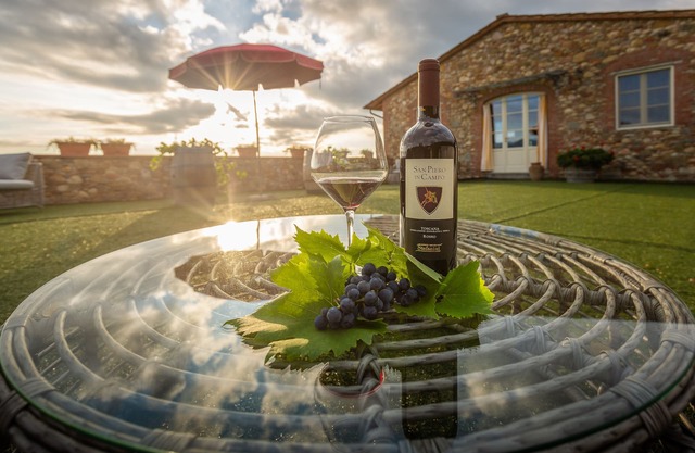 La Principessa Tuscan farmhouse with pool on wine road of Montecarlo-Lucca