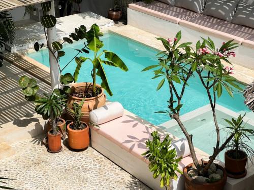 La Punta Rooms