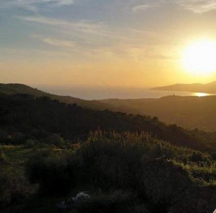 La rosa del Cilento