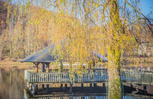 La Terrasse du Lac