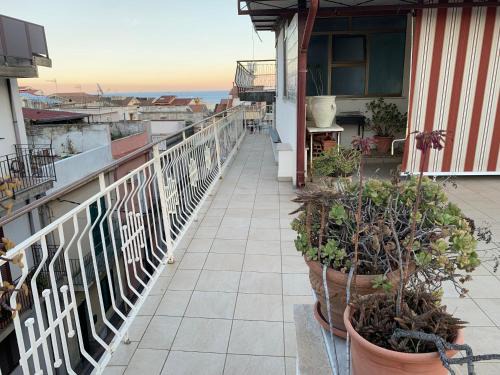 La Terrazza