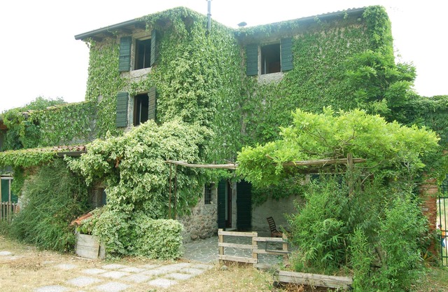 La Torretta: cerca de Peschiera del Garda, rodeado de vegetación, tranquilo