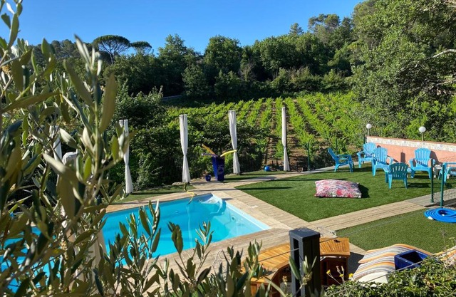 La Vie Est Belle En Provence
