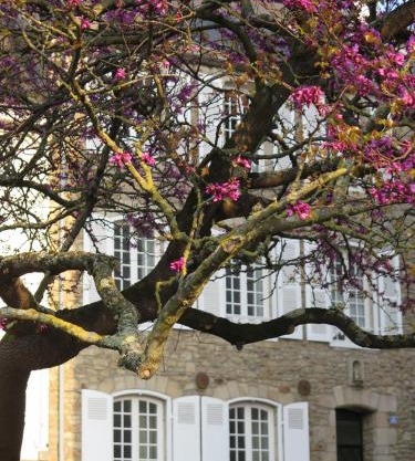 La Villa Garenne