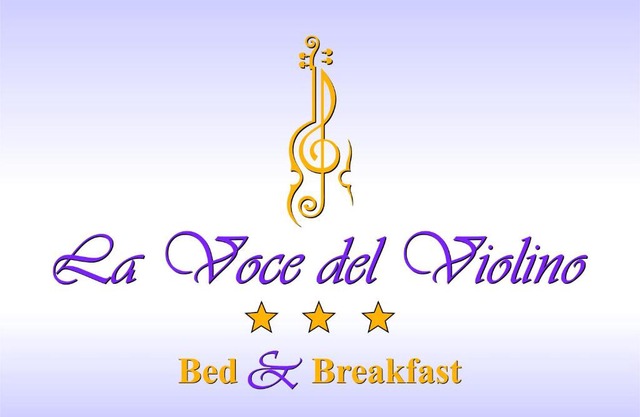 La Voce del Violino